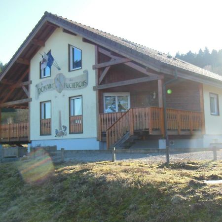 Chalet Du Bucheron Appartement Gérardmer Buitenkant foto
